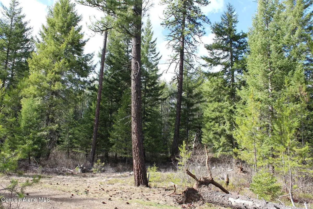 1a Lot 4 Block 109 W Adams St, Spirit Lake, ID 83869 - #1