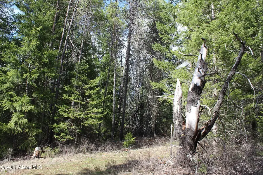 1a Lot 4 Block 109 W Adams St, Spirit Lake, ID 83869 - #2