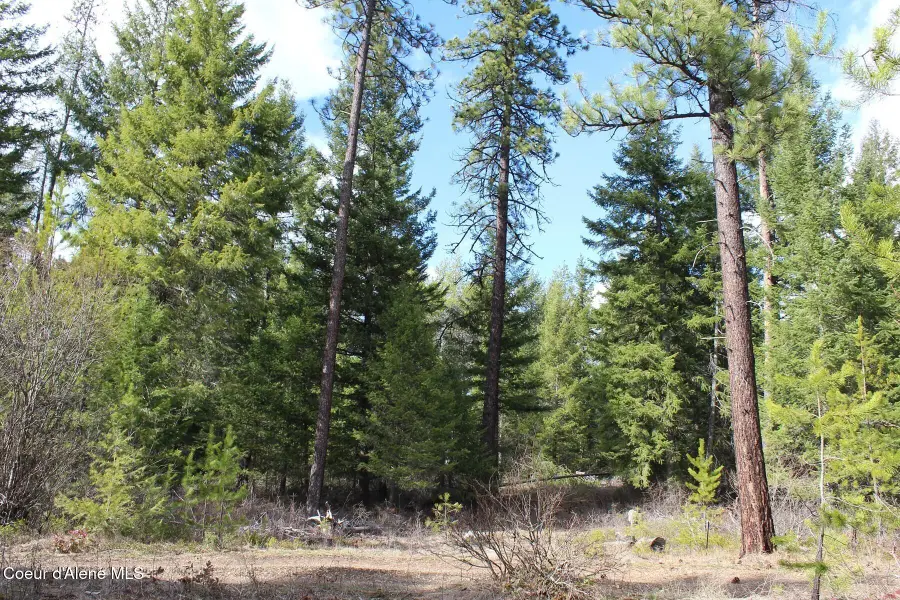 1a Lot 4 Block 109 W Adams St, Spirit Lake, ID 83869 - #3