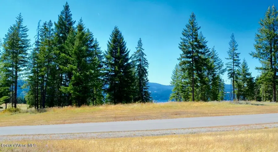 L1 B2 WAILEA RD, Harrison, ID 83833 - #2