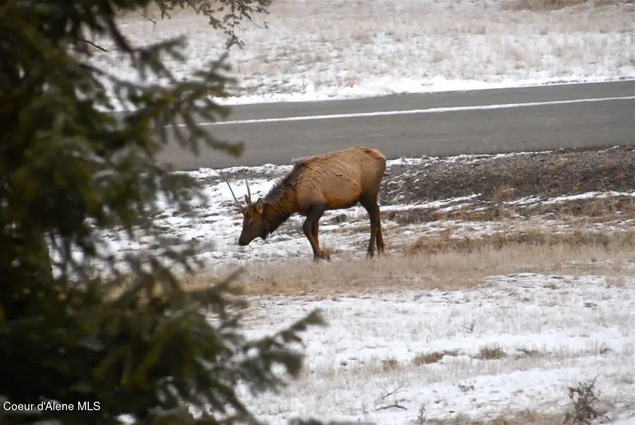 L1 B2 WAILEA RD, Harrison, ID 83833 - #3