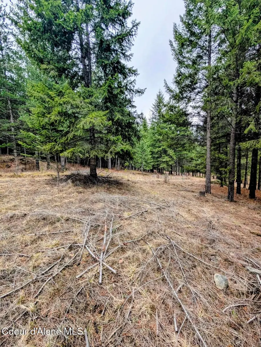 NNA Kootenai Trail Rd, Bonners Ferry, ID 83805 - #2