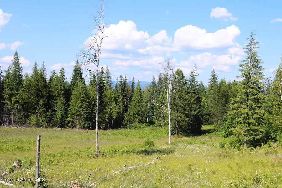 NKA Slippery Slope Trail, Priest River, ID 83856 - #2