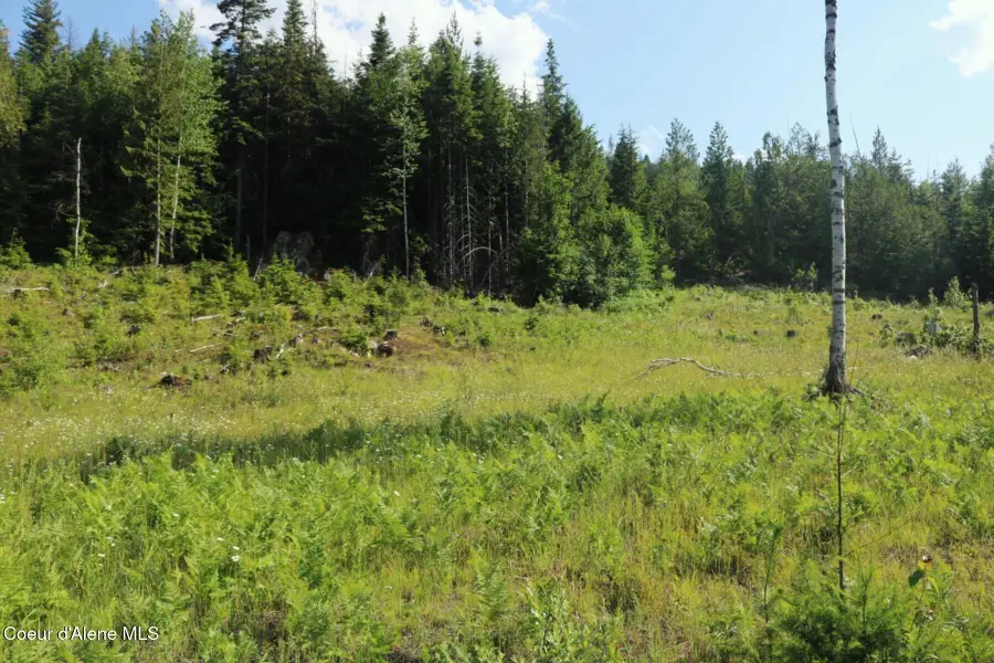NKA Slippery Slope Trail, Priest River, ID 83856 - #3