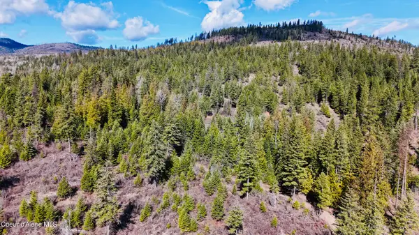 NKA N Whittum RD, Priest River, ID 83856