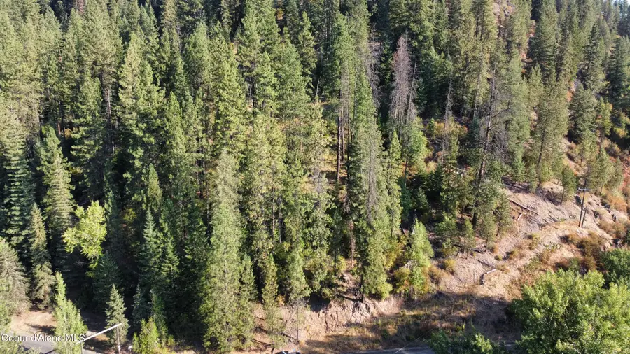 NKA St Maries River Rd, Saint Maries, ID 83861 - #3