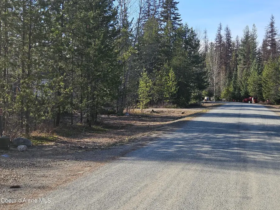 NNA N Ryan Road, Priest Lake, ID 83856 - #2