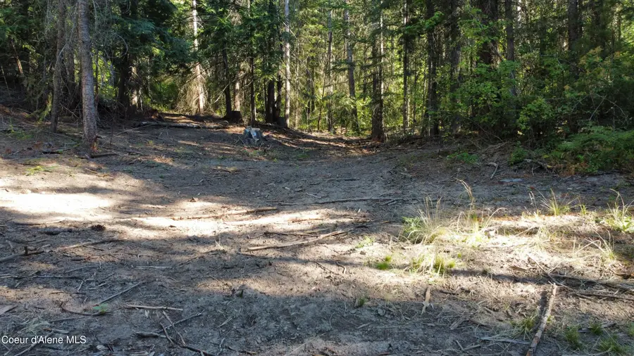 NKA Hells Gulch, Saint Maries, ID 83861 - #2