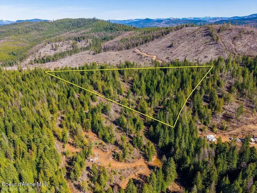 462 E Ridge (Tract 14) Dr, Saint Maries, ID 83861 - #2