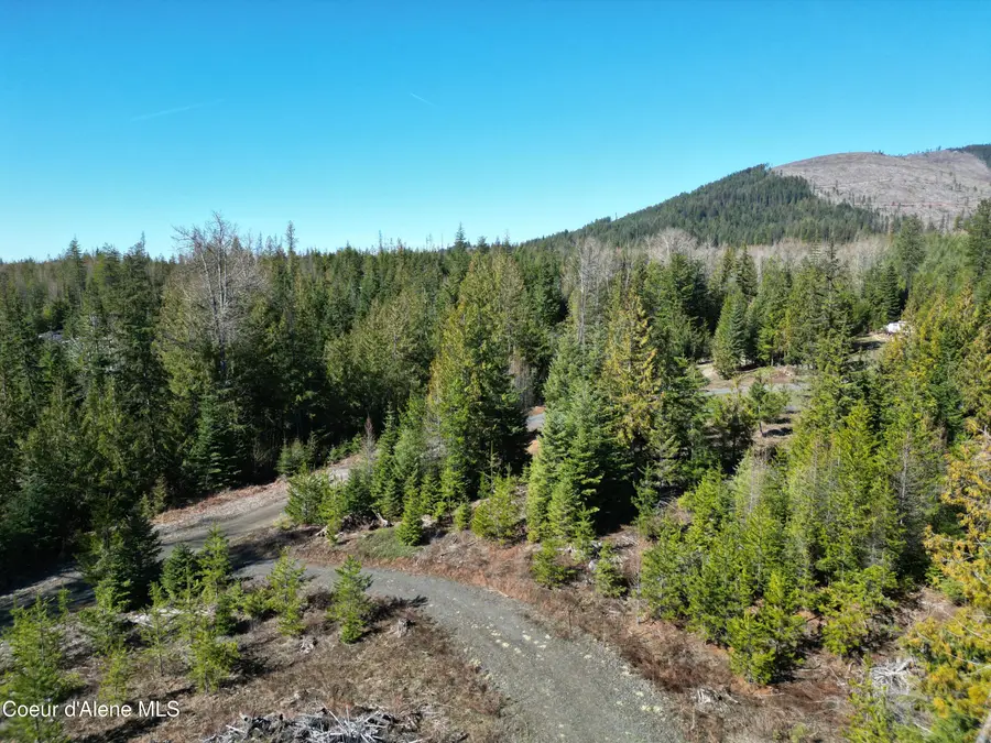 123 Badger DR, Saint Maries, ID 83861 - #2