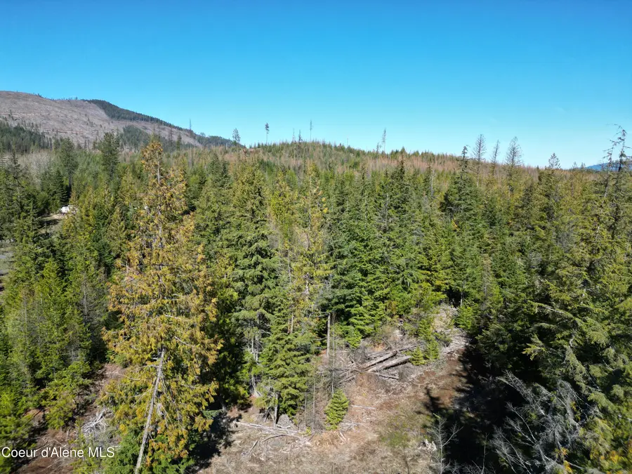 123 Badger DR, Saint Maries, ID 83861 - #3