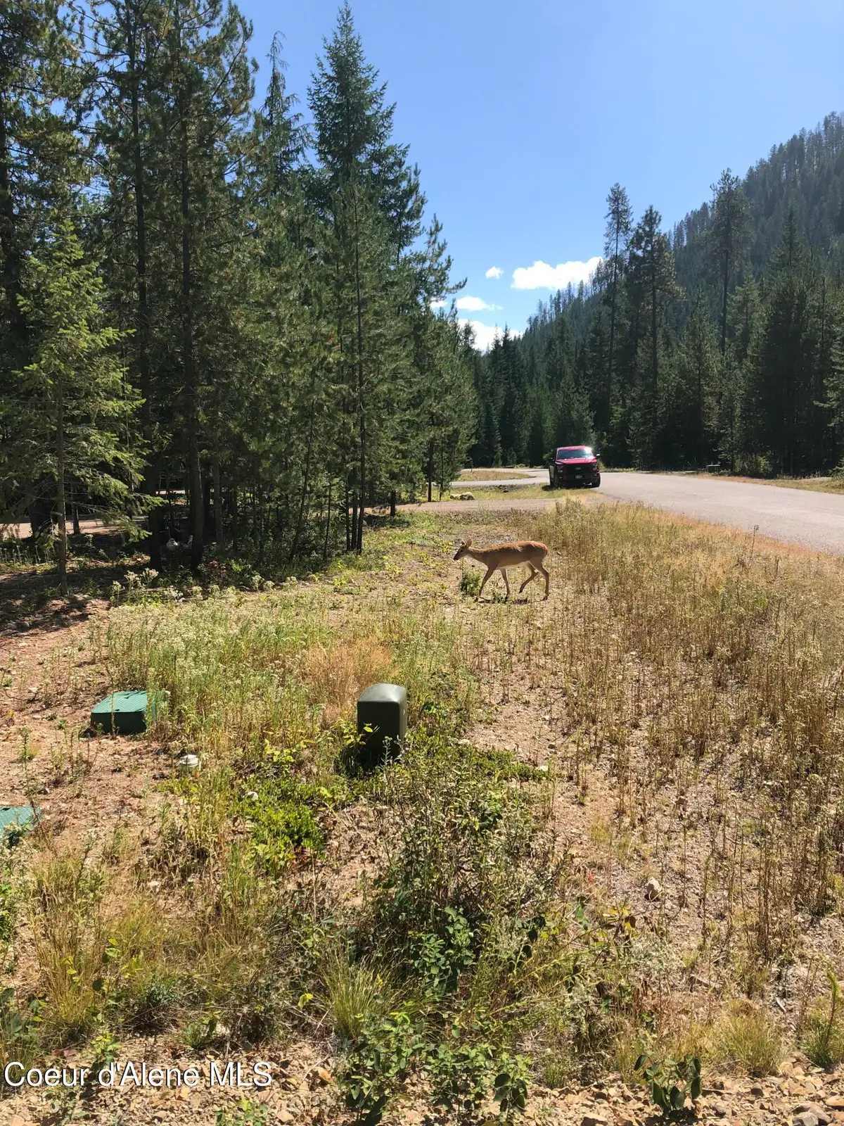 L25 TRACY LN, Priest Lake, ID 83856 - #1