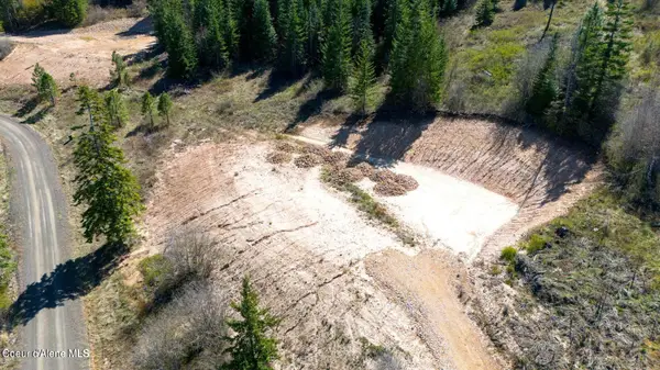 Lot 3 Lone Moose Dr, Plummer, ID 83851