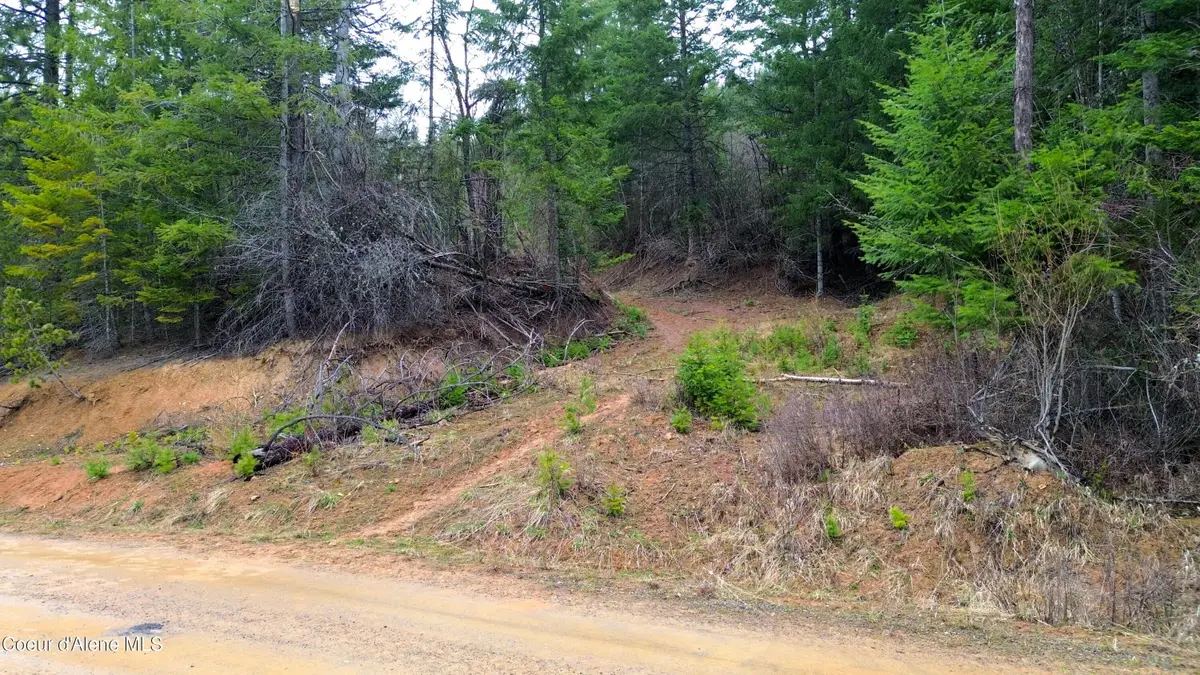 NNA Winchester Lane, Saint Maries, ID 83861 - #1