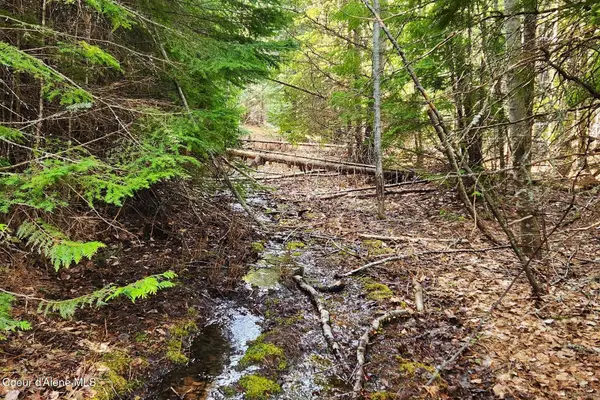 718 Slippery Slope Lot 2, Priest River, ID 83856