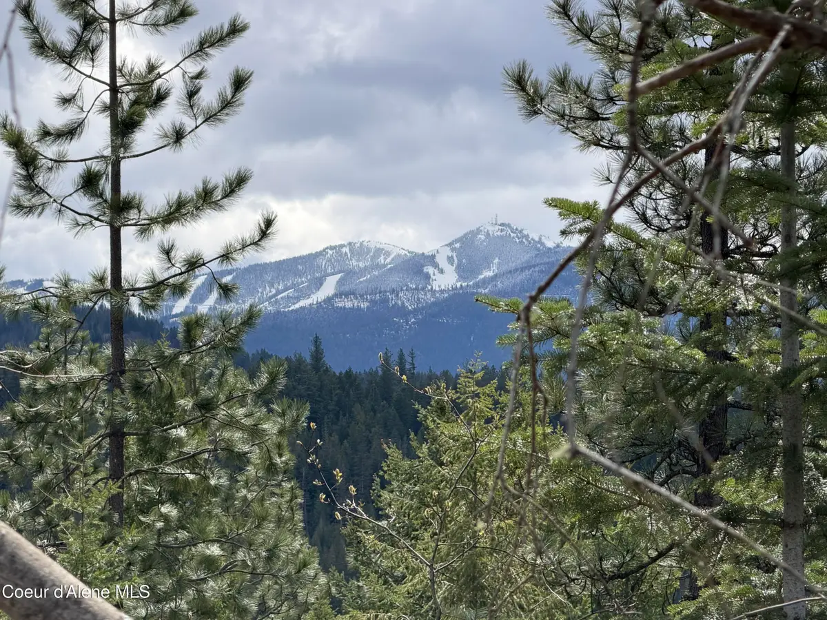 NNA CDA River Drive/McPhee Gulch 9.84 Acres, Kingston, ID 83839 - #1