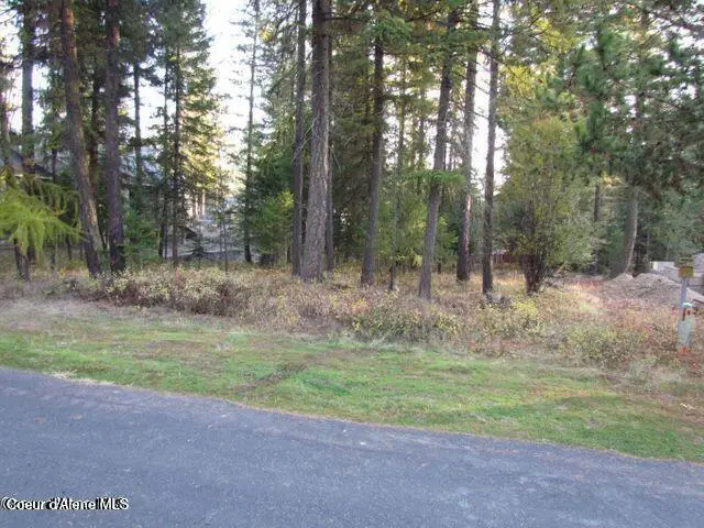39 Forest Ridge RD, Blanchard, ID 83804 - #3