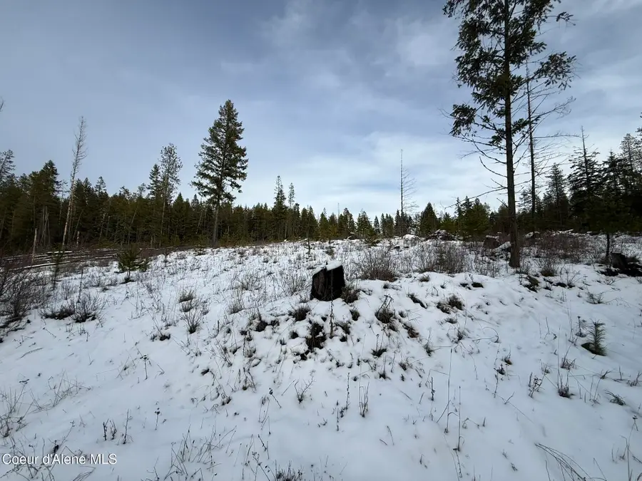 NKA Janes LN, Saint Maries, ID 83861 - Image #3