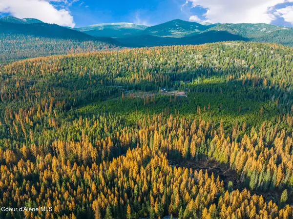 Lot 3 (10 Acres) Reeder Bay Road, Nordman, ID 83848