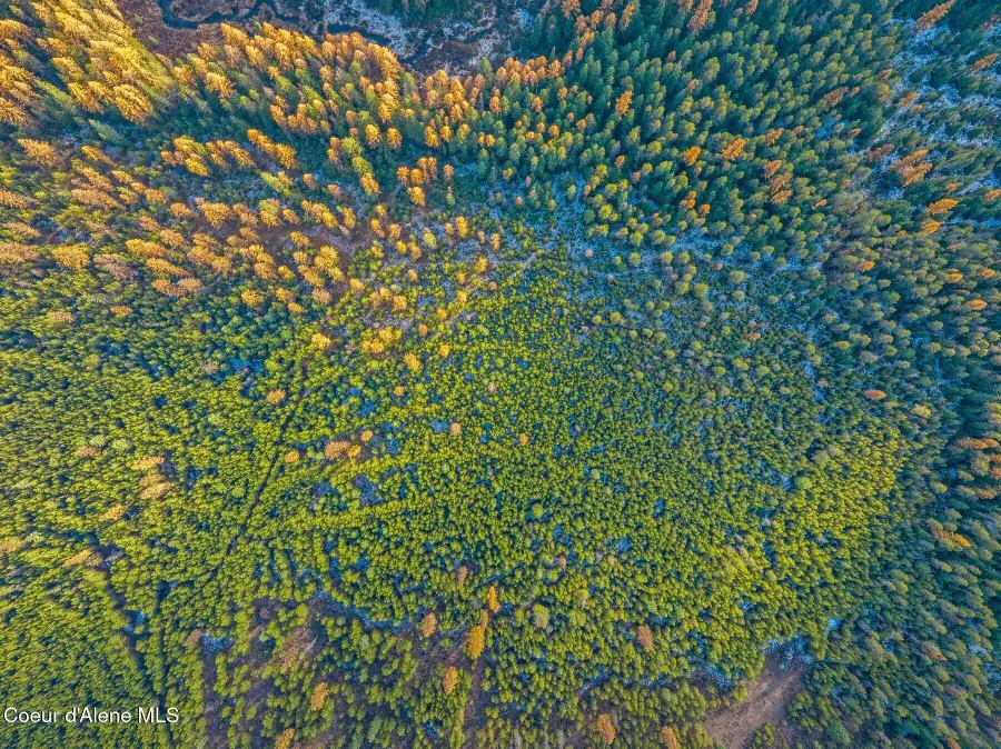 Lot 3 (10 Acres) Reeder Bay Road, Nordman, ID 83848 - #2