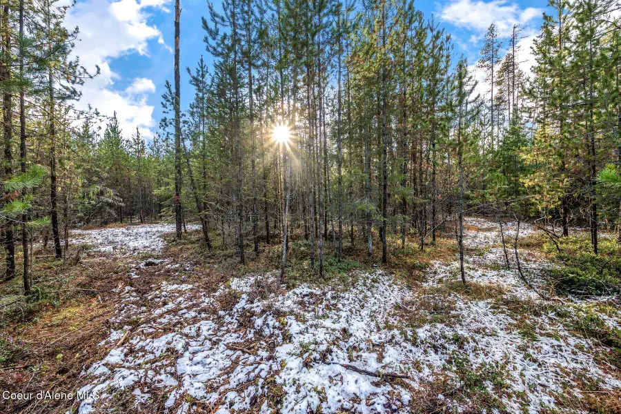 Lot 3 (10 Acres) Reeder Bay Road, Nordman, ID 83848 - #3