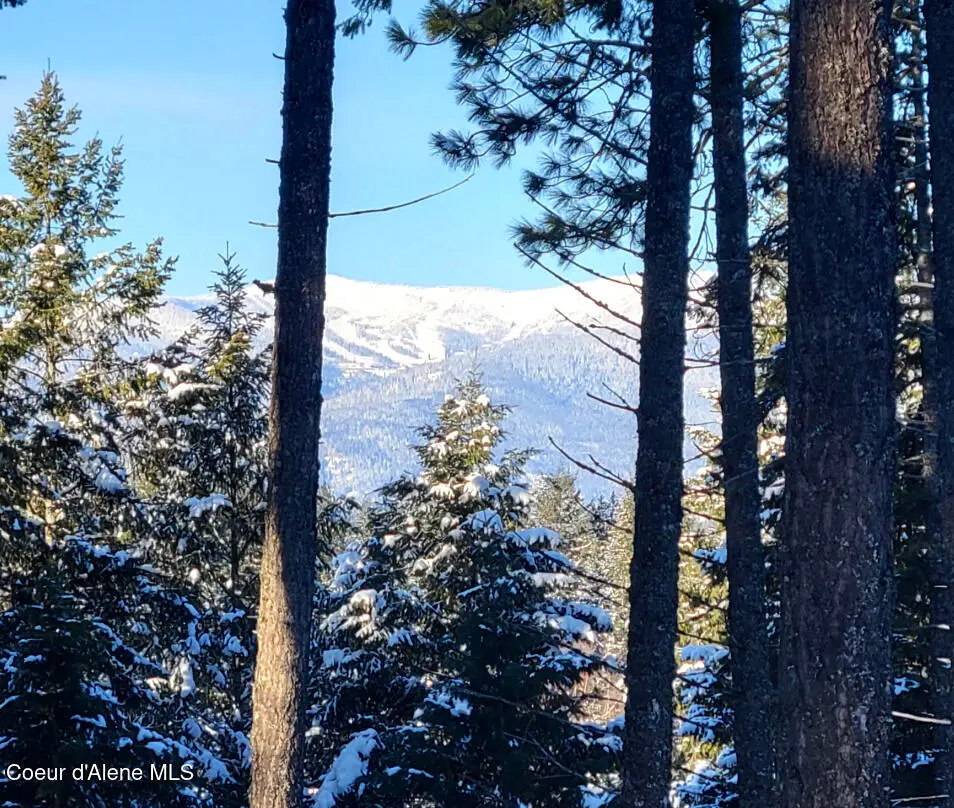 Wildflower Way, Sandpoint, ID 83864 - #1