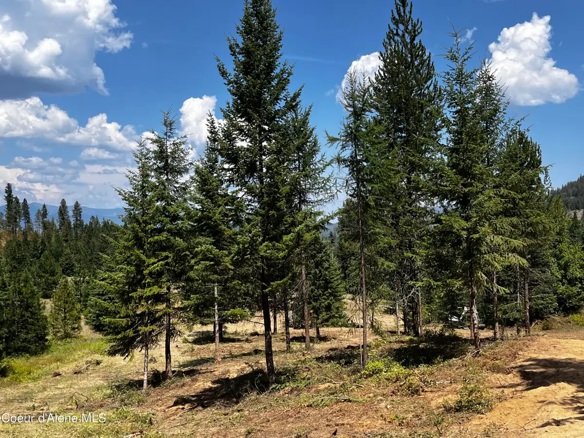 NNA Lot 1 Schneiders Rd, Sagle, ID 83860 - #1