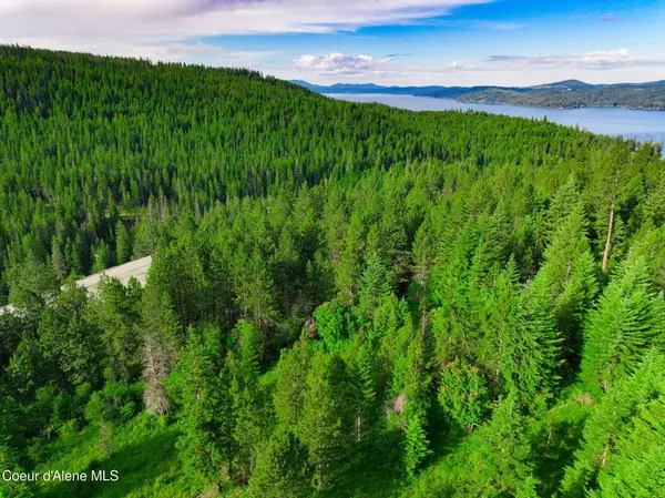 NKA 1B S Skyview Rd, Harrison, ID 83833