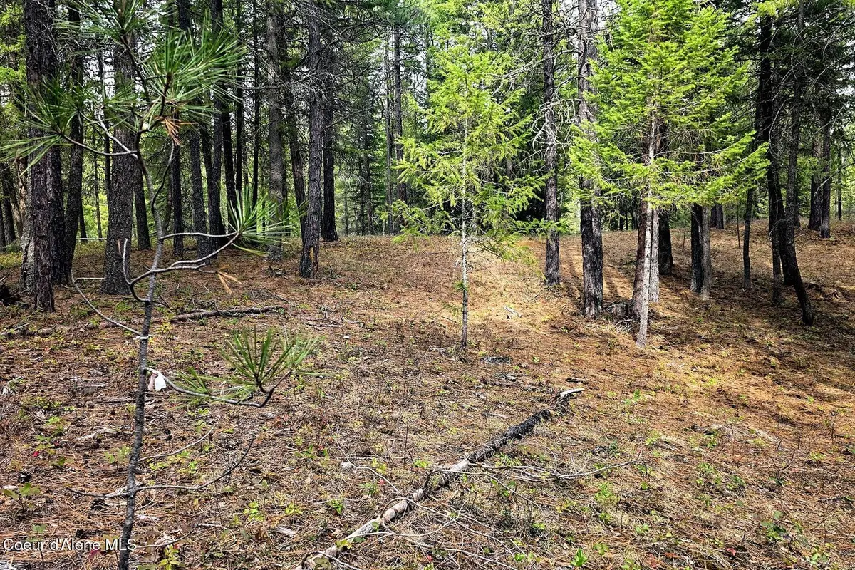 NLA Dusty Lane, Naples, ID 83847 - #1