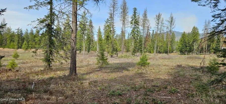 258 Nitty Gritty LN, Priest River, ID 83856 - #2