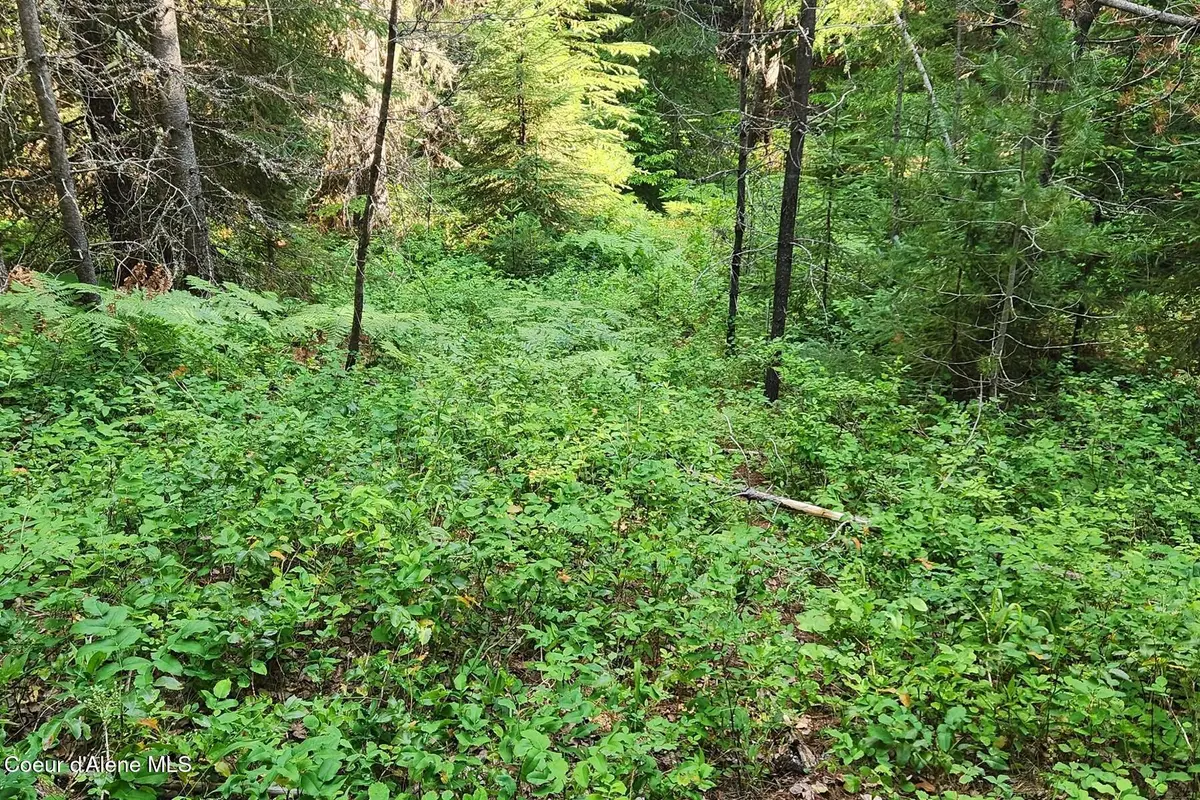 NNA Reeder Bay Rd, Nordman, ID 83848 - #1