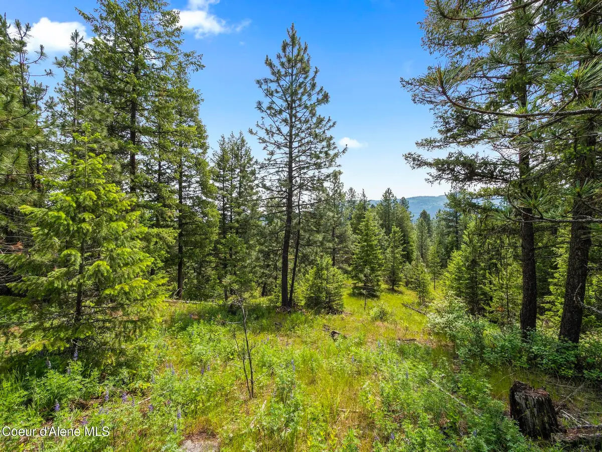 685 Blanchard Elk RD, Blanchard, ID 83804 - #1