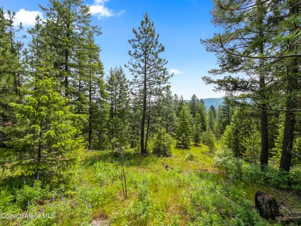 685 Blanchard Elk RD, Blanchard, ID 83804