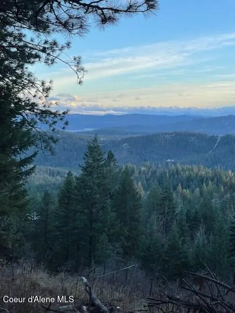 NKA PALOMINO DR 10 ACRES, Coeur D Alene, ID 83814 - #2
