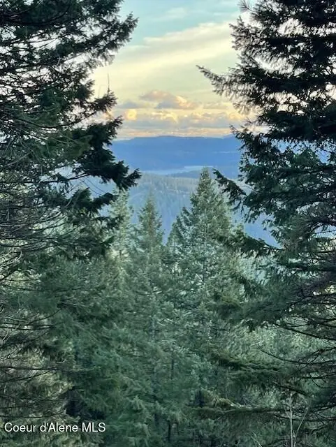 NKA PALOMINO DR 10 ACRES, Coeur D Alene, ID 83814 - #3