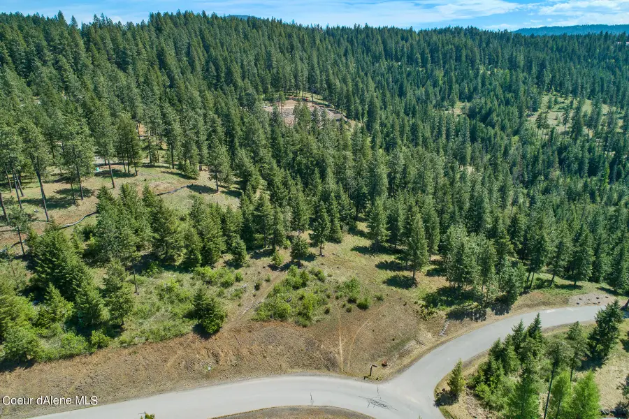 Lot 149 Gadwell, Harrison, ID 83833 - #2