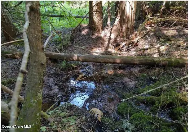 317 E Ridge RD, Saint Maries, ID 83861 - #2