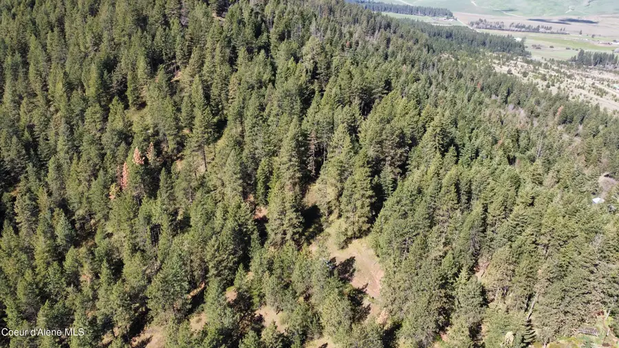 NKA Iron Mountain Ln, Desmet, ID 83824 - #2