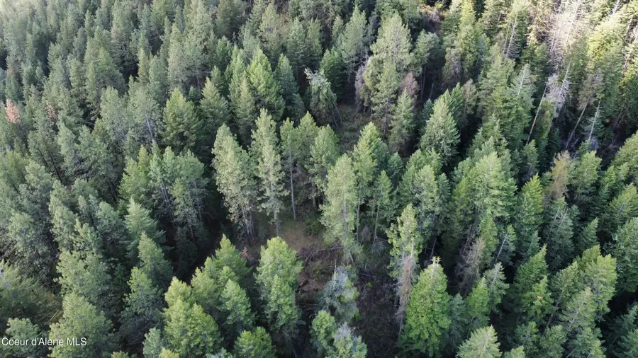 NKA Iron Mountain Ln, Desmet, ID 83824 - #3