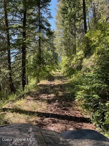 NKA Burke 34.38 Acres Rd, Wallace, ID 83873 - #3