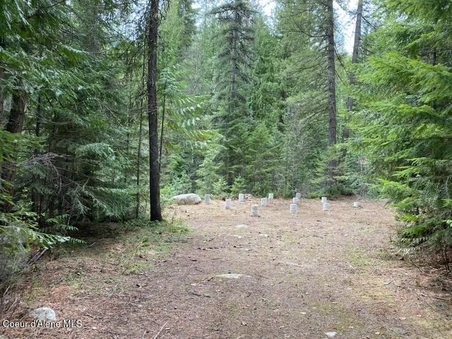 97 Mineral LN, Sandpoint, ID 83864 - #3