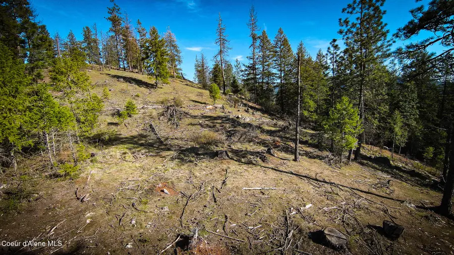 NNA Lot 3 Kacy Bear LN, Priest River, ID 83856 - #2
