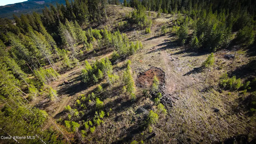 NNA Lot 4 Kacy Bear LN, Priest River, ID 83856 - #3