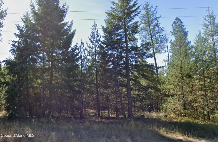 755 Tweedie Rd, Blanchard, ID 83804 - #3