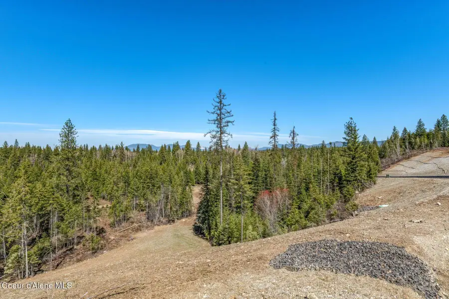 NKA Dickens Rd (Lot 6), Athol, ID 83801 - #2