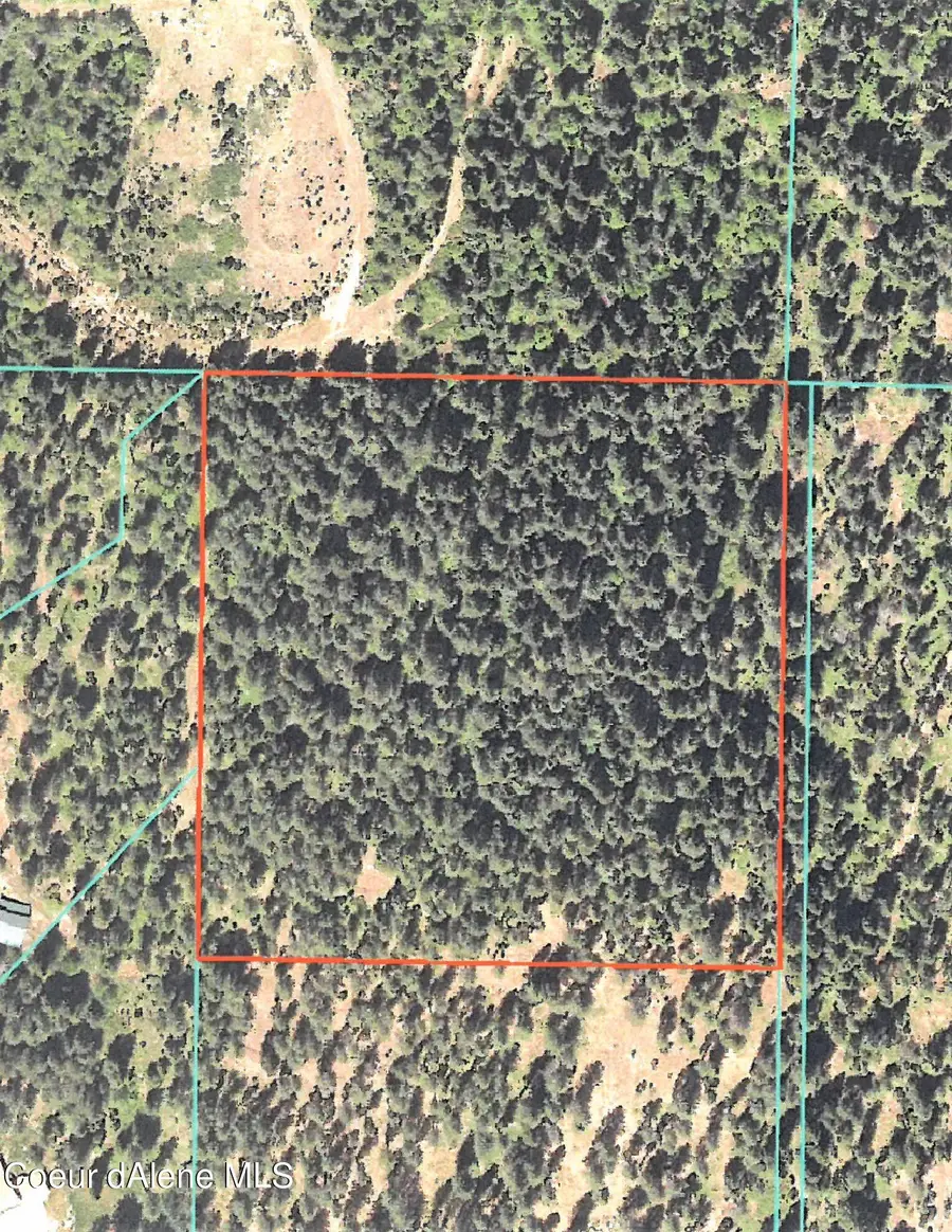 NNA DazyDuck Ct, Rathdrum, ID 83858 - #3