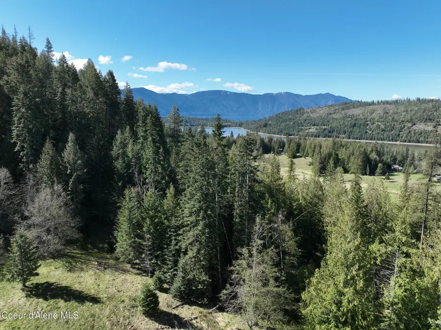 NNA Bottle Brand Rd, East Hope, ID 83836 - #3