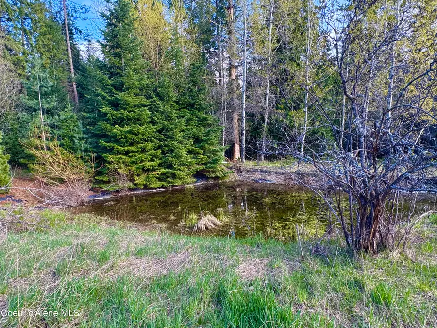 9 Dead Horse Ln, Heron, MT 59844 - #3