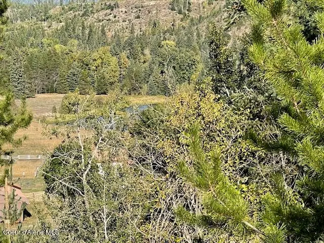 NKA Gleason McAbee Road, Priest River, ID 83856 - #2