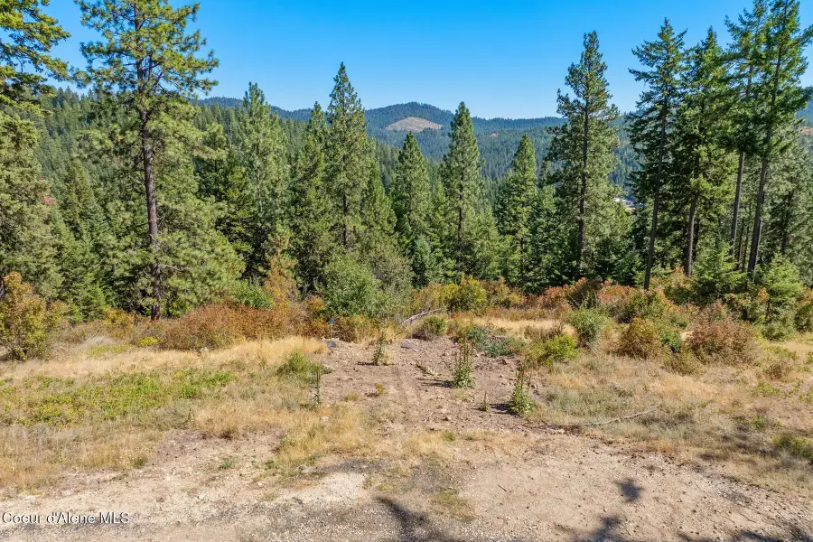 NNA Hanson Rd, Harrison, ID 83833 - #2